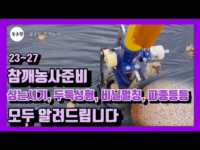 봉춘팜 참깨농사 | 참깨 심는시기 밭만들기 씨 소독 파종까지 설명해드립니다