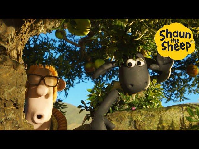 LIVE  NEW FULL EPISODES Cartoons for kids, Preschool, Shaun the Sheep, Pranks, Christmas