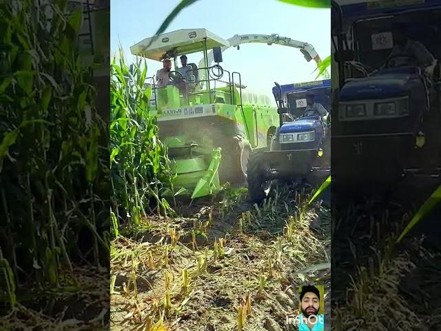  #fodder #harvesting  #maize #crop #machine #agriculture #tractor #dairyfarm #shorts