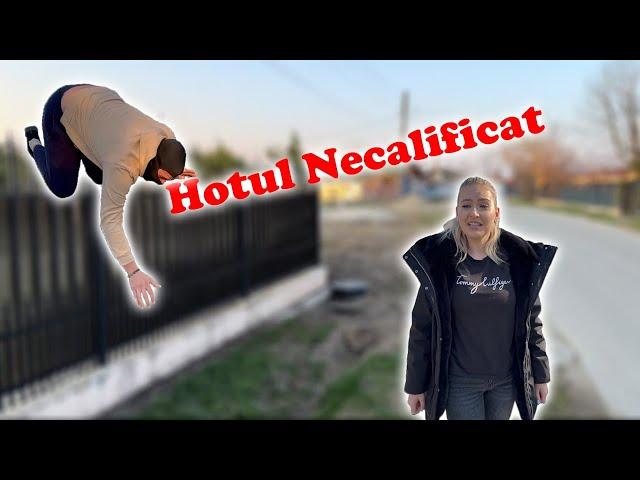 Hoțul Necalificat @iarinamateescu