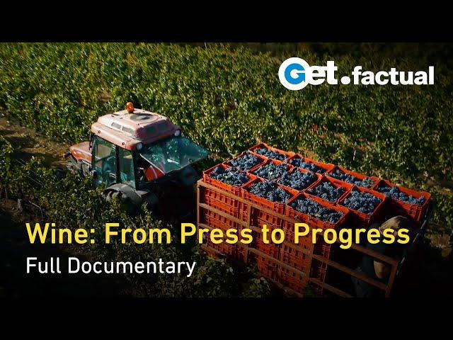 Wine's History and its Ecological Future | Full Documentary