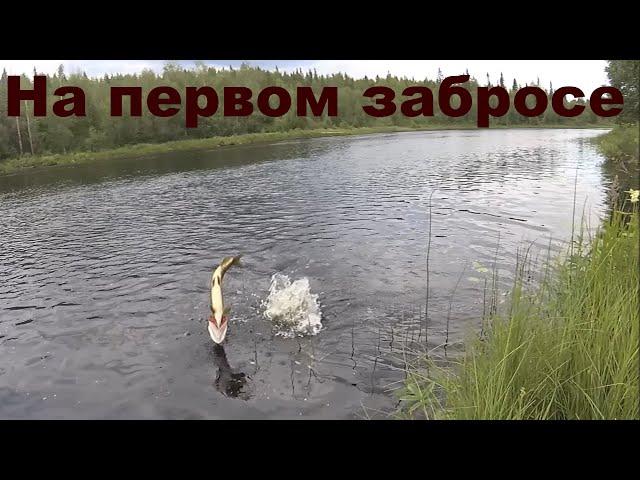 Рыбалка на Спиннинг  Июль 2022