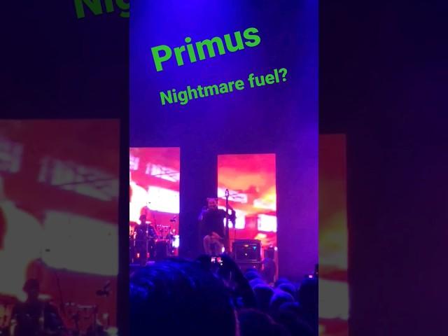 Primus is weird! WTF? @officialprimus  #primus #shorts #metal #rock #bassguitar #weird