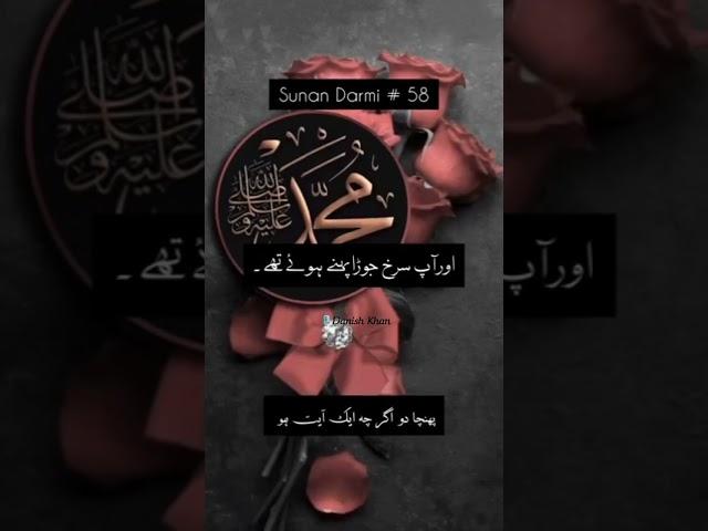 QARI DANISH MEHBOOB ️ |  HADEES E RASOOL PBUH  Whatsapp status 