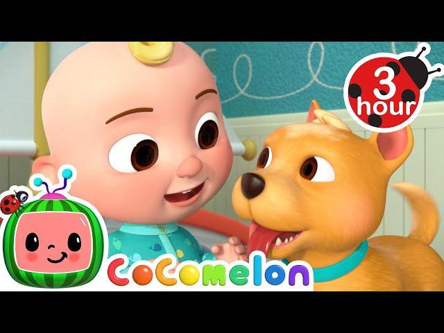 Wake Up The House, Bingo!  CoComelon Nursery Rhymes and Kids Songs | 3 HOURS | After School Club