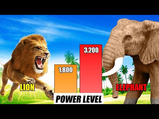 Wild Animals Tournament Arena Power Comparison | SPORE