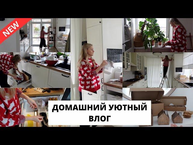 ЧИСТОТА НА КУХНЕ| покупки к НГспокойные будни дома 