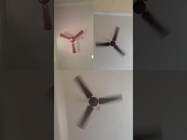 Ceiling #fan #viralvideo #ceilingfan #video #kipasangin #viralshorts #youtubeshorts #ytshorts #sound