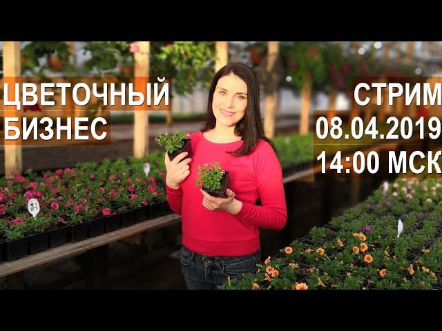 Цветочный бизнес с зелёным блогером Александрой Кайгородцевой. Зелёное черенкование летников