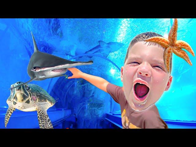 BEST AQUARIUM EVER! UNDERWATER BOX with SHARKS & STINGRAYS!!! Caleb Goes to the BRANSON AQUARIUM!