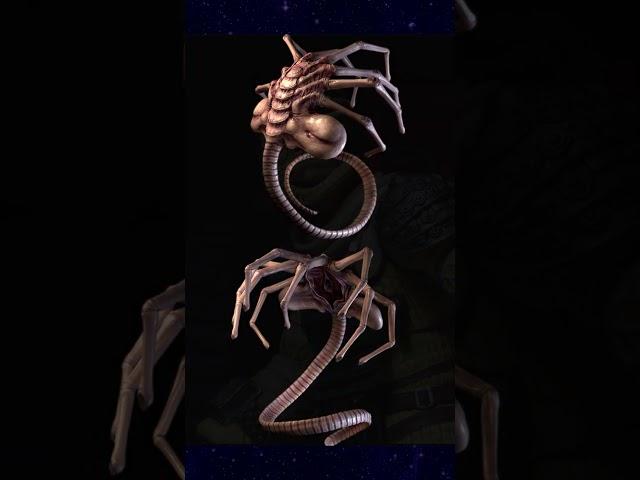 Xenomorph Facehugger