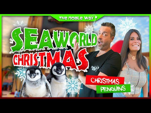 SeaWorld's Christmas Celebration, Sea of Lights, Penguins, Roller Coasters, Amazing Foods, & More!