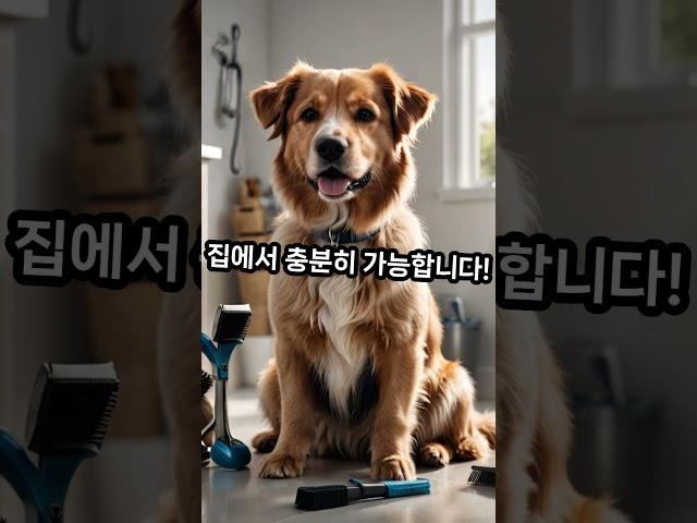 은퇴 후 창업, 이렇게 시작하세요! #시니어창업 #은퇴후직업 #소자본창업 #제2의직업 #노후준비 #시니어비즈니스 #창업아이디어 #은퇴창업 #인생2막 #나도사장님 #시니어라이프