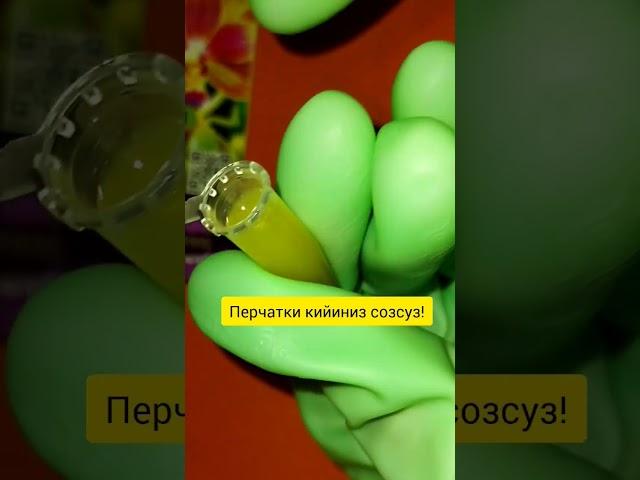 Цитакениновая паста для орхидей #orhids #plant #цветыдлядома #деткаорхидеи#orhids #anturium
