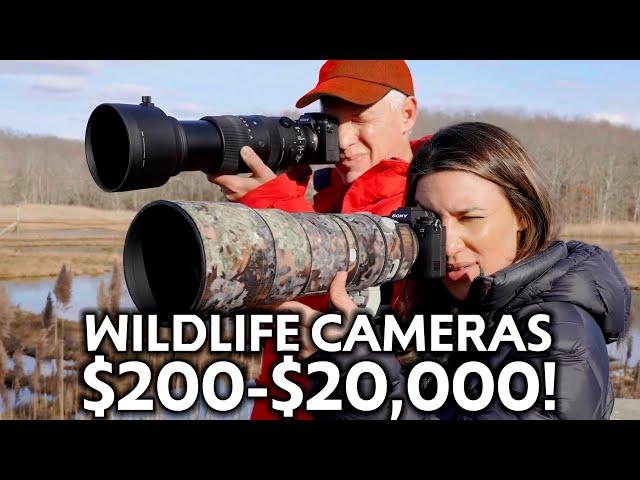 BEST WILDLIFE CAMERAS $200-$20,000