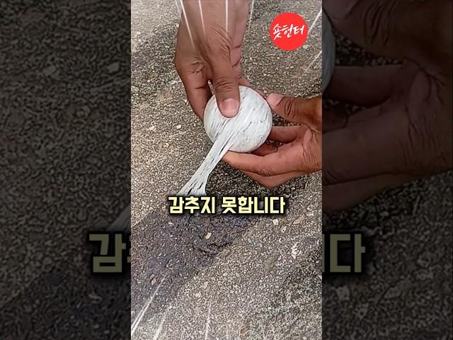 천연 고무로 만드는 스포츠 용품