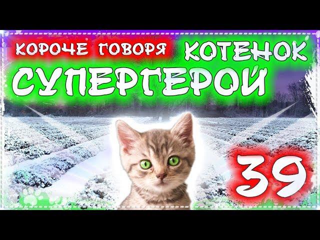 КОРОЧЕ ГОВОРЯ, БЕЗДОМНЫЙ КОТЕНОК ЛАЙКИ VS БАНДИТЫ / Котенок супер герой против бандитов