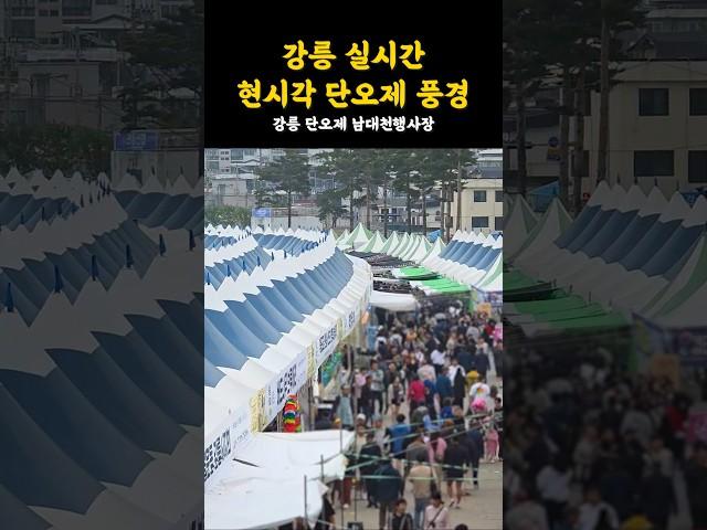 실시간️강릉 남대천 단오제! 흐린데도 사람 엄청 많아요~ #강원도 #강릉 #강릉여행 #단오제 #축제 #지역축제 #실시간