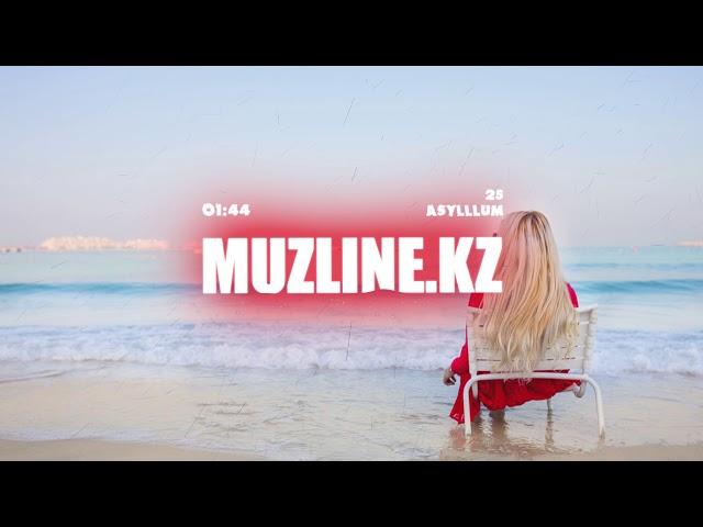 Asylllum - 25 | Muzline.KZ