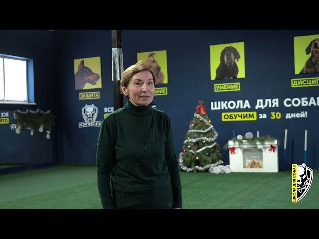 Отзыв о полном курсе дрессировки | Маламут Рейна | Школа для собак DRED | Дрессировка собак Украина