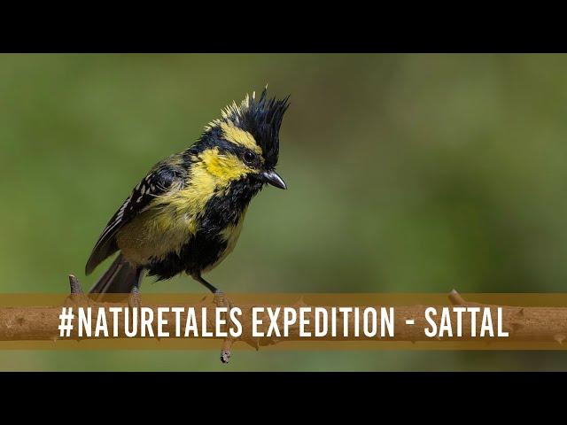 Nature Tales Expeditions - Chapter 1, Sattal and Pangot, Behind the Scenes