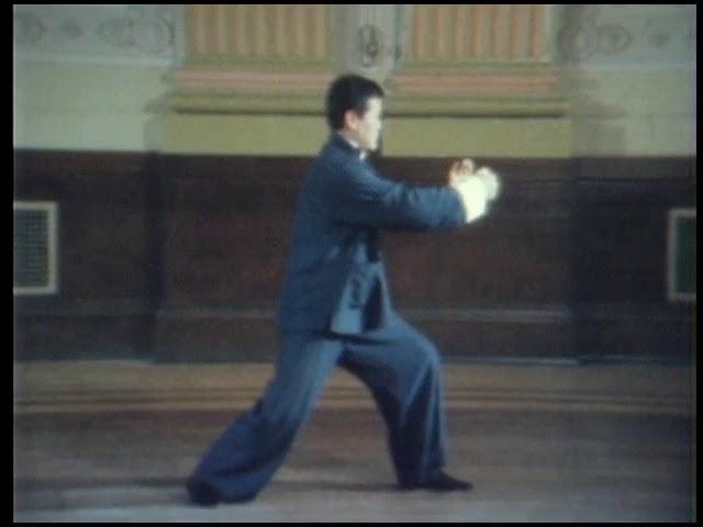 Tai chi Tung