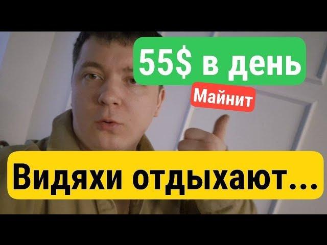 55$ в день... видеокарты отдыхают...