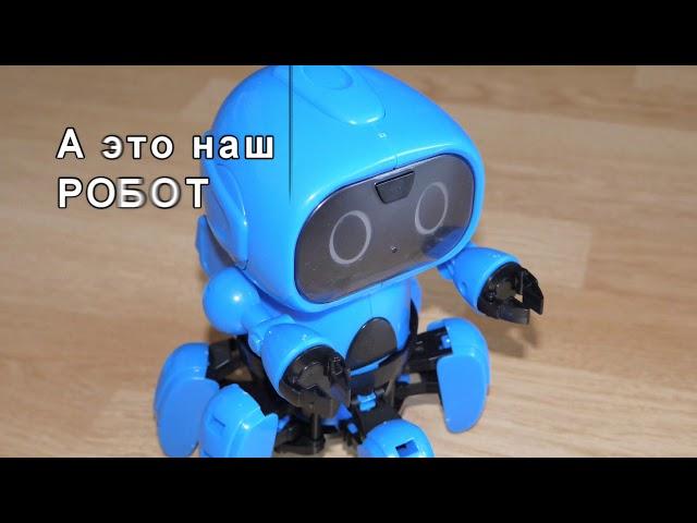 Собираем робота сами. Конструктор для взрослых.