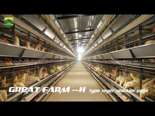 A&H Type Layer Chicken Cage | Poultry Cage