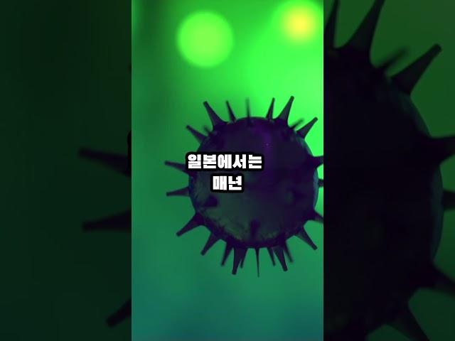 70년 만에 돌아온 킬러의 부활 #상식 #지식 #올바른정보 #이슈 #정보 #해외 #뉴스 #국내 #킬러 #역사