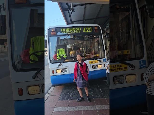 Transit systems bus 4 wheel driving through campsie