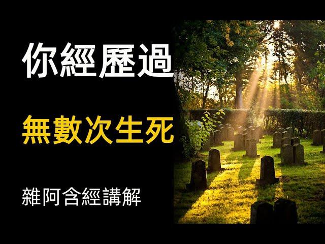 雜阿含經講解13 你經歷過無數次生死 宿命通 神經可塑性 無懼死亡 You have experienced countless times of life and death