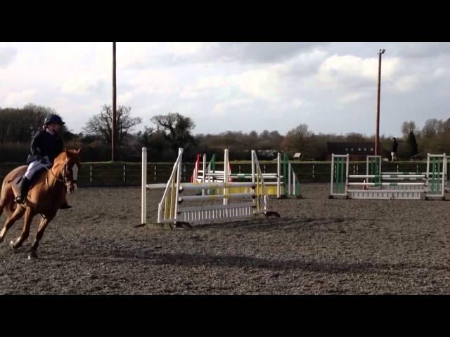 Snowball farm showjumping