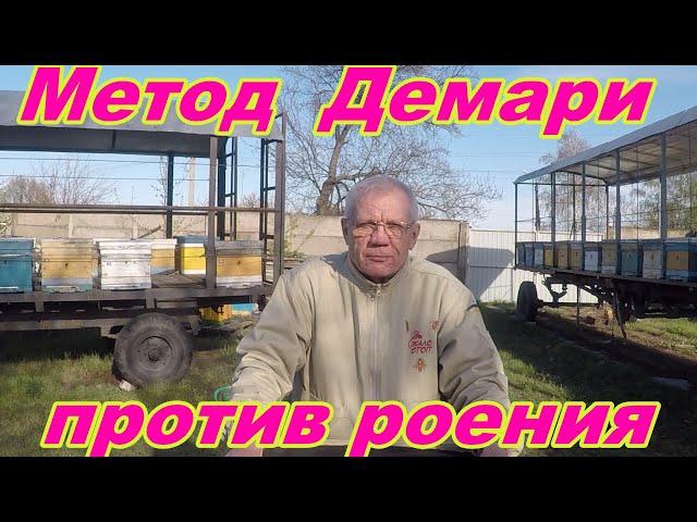 Борьба с роением пчел Лучший на 99% метод Демари
