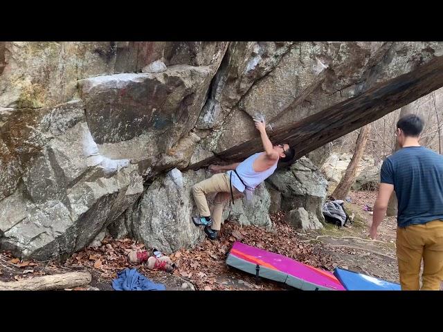 Purple People Eaters V6 | John Nguyen