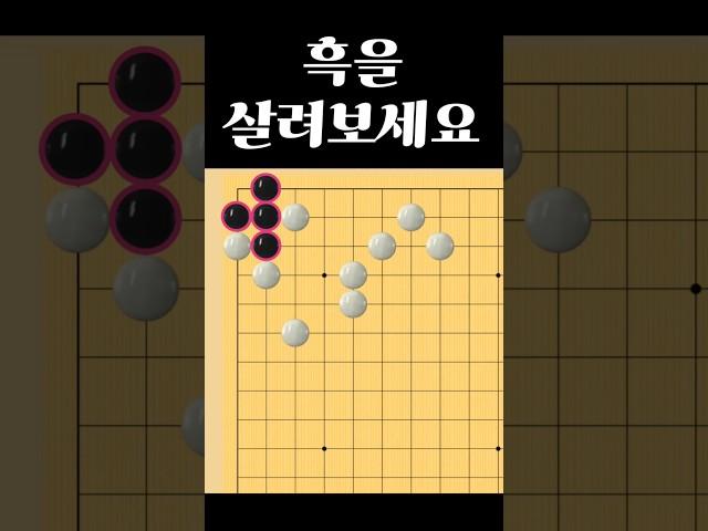 쉬운 바둑 사활 - 흑을 살릴 수 있습니까?
