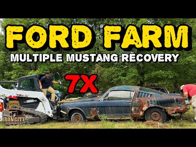 Picking a Ford farm full of abandoned fastback mustangs, are they too rough to rescue?