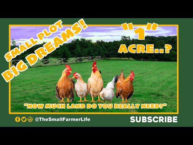  How Much Land Do You Need to Live On?   #livingonyourland #howmuchlandtoliveon #liveonyourland