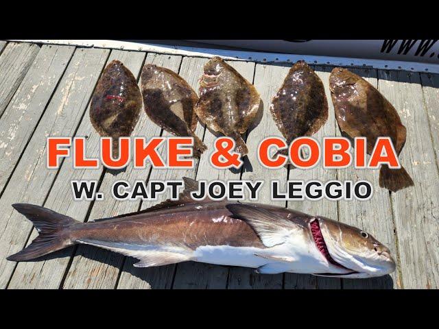 FLUKE & COBIA Fishing with Capt Joey Leggio