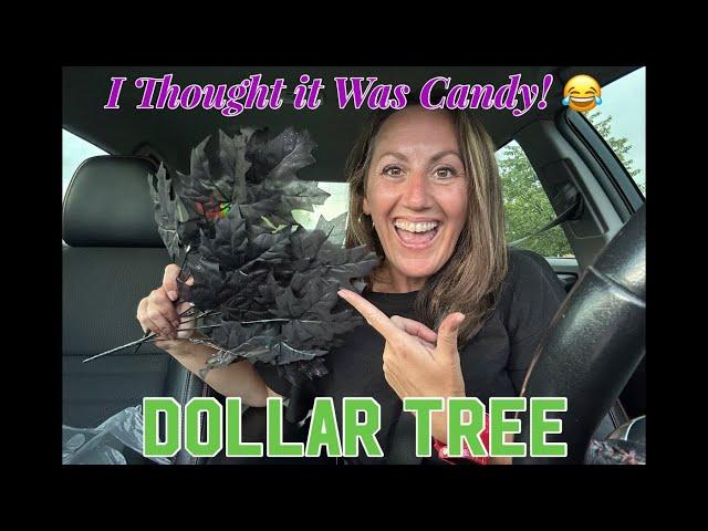 I Couldn’t Help Myself! DOLLAR TREE HAUL | You Have To Laugh At Yourself 