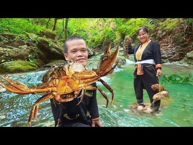 Dwarf Family Primitive Life: Takes Daughter to School and Catches Giant Mountain Crab!