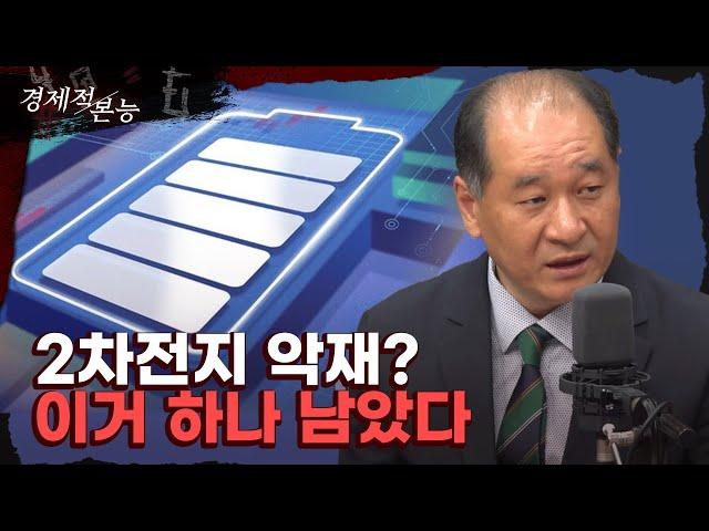 박순혁 "2차전지 악재? 이거 하나 남았다" [경제적 본능]