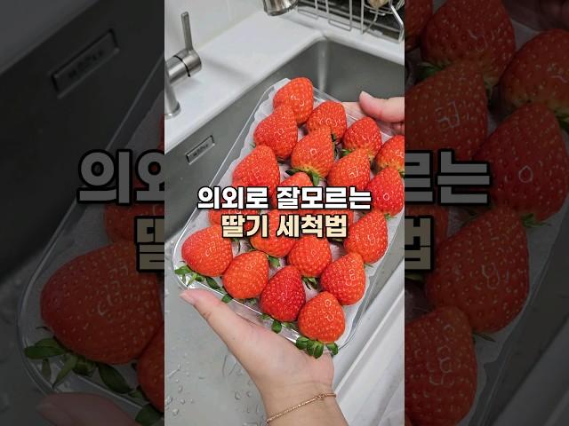 당신만 몰랐던 딸기 세척 비밀