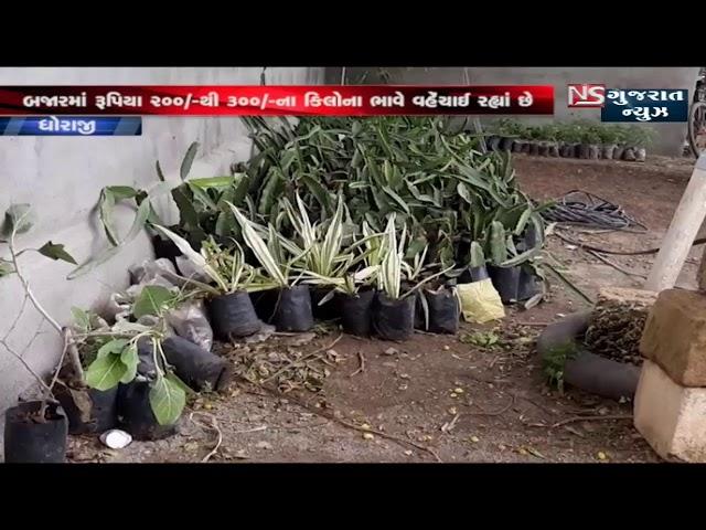 NS GUJARAT NEWS Live Stream
