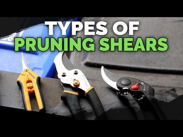 Pruning Shears Explained: Choose the Best Pruners For Your Garden