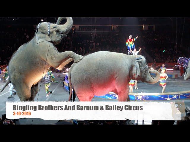 Ringling Bros. And Barnum & Bailey Circus - With Elephants