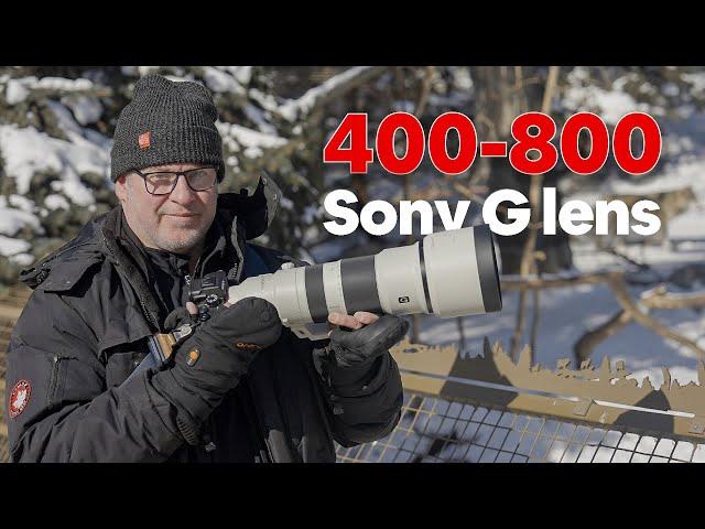 SONY 400-800mm f6.3-8 Lens REVIEW: The ultimate birding lens!