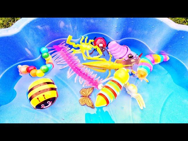 Bugs Fun | Learn Bug Insect Names for Babies Toddlers Preschoolers Kids: Snail Caterpillar Bee