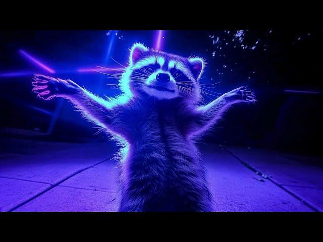 Pedro the Dancing Raccoon! | Viral Dance Meme 