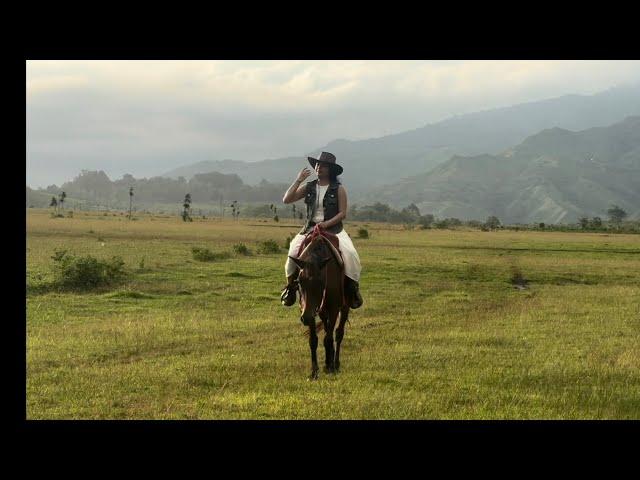 BUKIDNON ️ Communal Ranch - solo travel Northern Mindanao